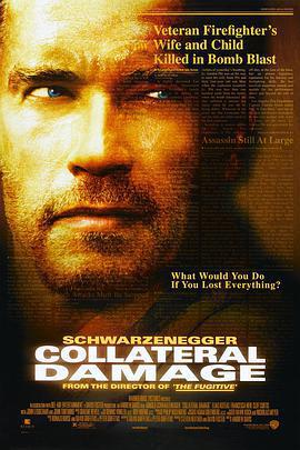 間接傷害/Collateral Damage線上看