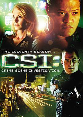 犯罪現場調查 第十一季/CSI: Crime Scene Investigation Season 11線上看