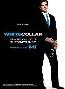 妙警賊探 第二季/White Collar Season 2線上看