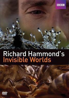 理察·哈蒙德：看不見的世界/Richard Hammond's Invisible Worlds線上看