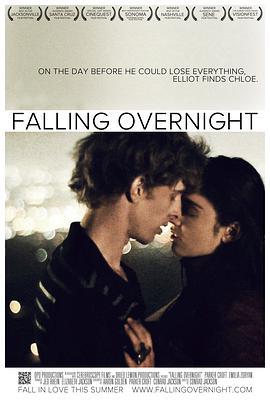 一夜鍾情/Falling Overnight線上看