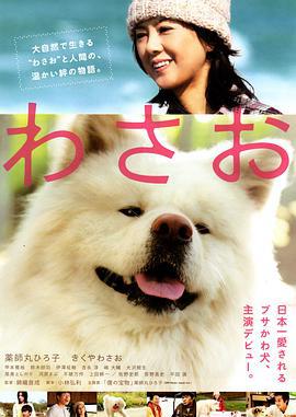 秋田犬蓬夫/わさお線上看