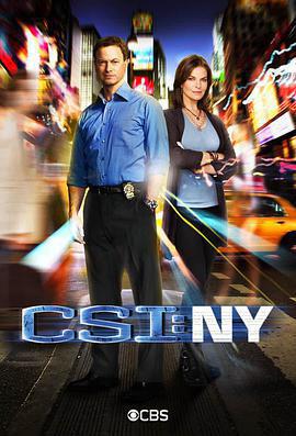 犯罪現場調查：紐約 第八季/CSI: NY Season 8線上看