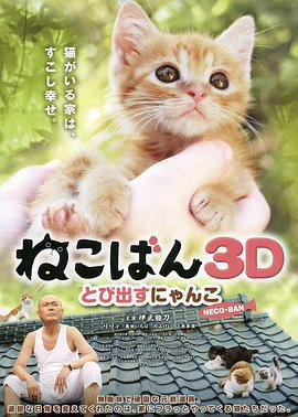 小貓跳出來3D/ねこばん3D とび出すにゃんこ線上看