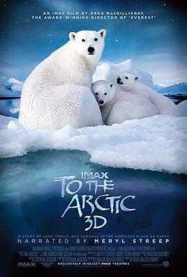 北極/To the Arctic 3D線上看