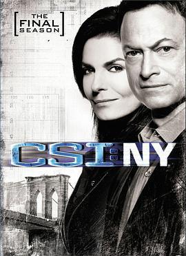 犯罪現場調查：紐約 第九季/CSI: NY Season 9線上看