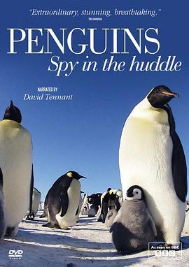 企鵝羣里有特務/Penguins: Spy in the Huddle線上看