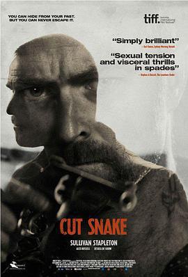 斬蛇/Cut Snake線上看