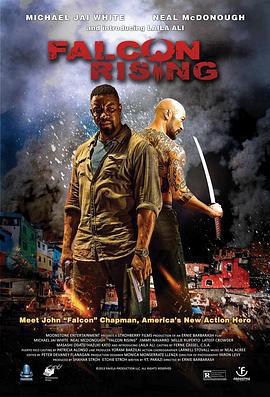 獵鷹突起/Falcon Rising線上看
