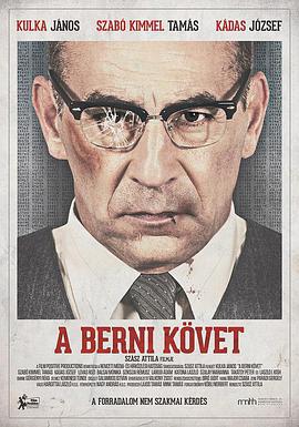 駐伯爾尼大使/A berni követ線上看