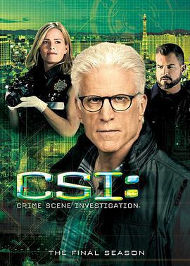 犯罪現場調查 第十五季/CSI: Crime Scene Investigation Season 15線上看