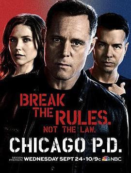 芝加哥警署 第二季/Chicago P.D. Season 2線上看