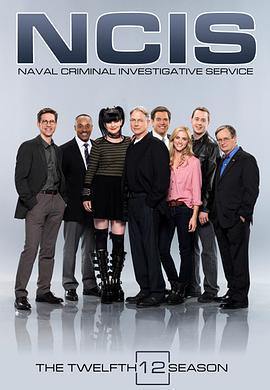 海軍罪案調查處 第十二季/NCIS: Naval Criminal Investigative Service Season 12線上看