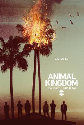 野獸家族 第一季/Animal Kingdom Season 1線上看