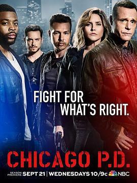 芝加哥警署 第四季/Chicago P.D. Season 4線上看