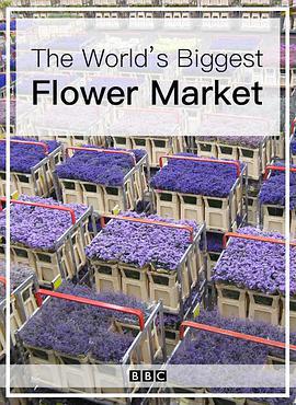 世界上最大的鮮花市場/The World's Biggest Flower Market線上看