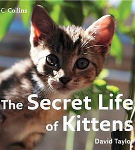 小喵的祕密 第一季/The Secret Life of Kittens Season 1線上看