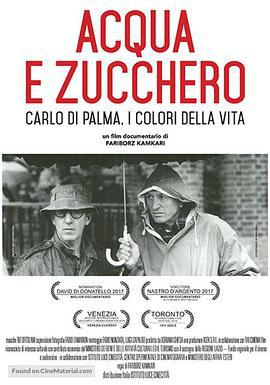 水與糖：攝影家卡洛·迪·帕爾馬的生活與色彩/Acqua e zucchero: Carlo Di Palma, i colori della vita線上看