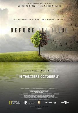 洪水泛濫之前/Before the Flood線上看