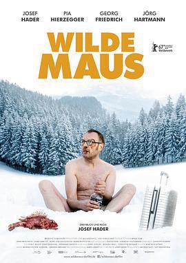 狂鼠/Wilde Maus線上看