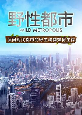 野性都市/Wild Metropolis線上看