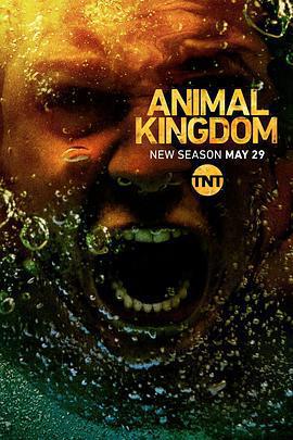 野獸家族 第三季/Animal Kingdom Season 3線上看