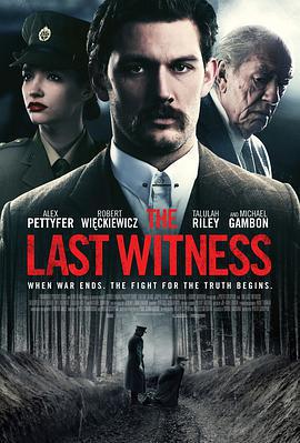 最後證人/The Last Witness線上看