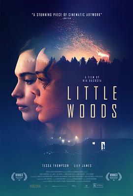 小森林/Little Woods線上看