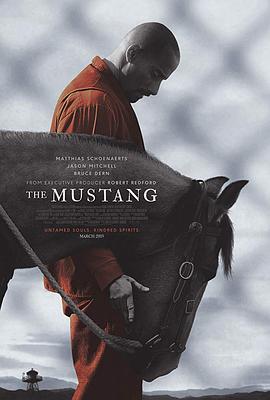 野馬/The Mustang線上看