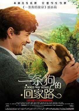 一條狗的回家路/A Dog's Way Home線上看