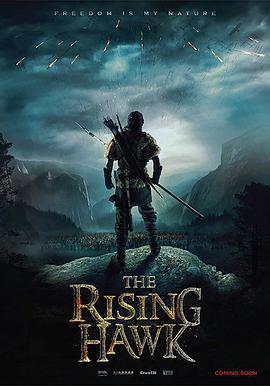 馴鷹者的崛起/The Rising Hawk線上看