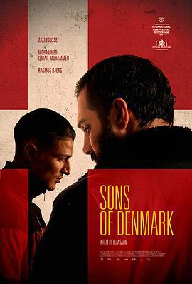 丹麥之子/Danmarks sønner線上看