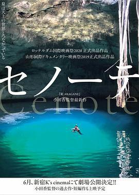 沉洞泉/セノーテ線上看