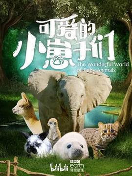 可愛的小崽子們/The Wonderful World of Baby Animals線上看