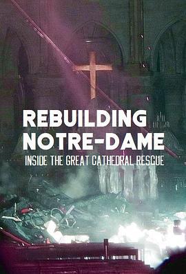 古教堂大救援：爭分奪秒拯救巴黎聖母院/Rebuilding Notre Dame: Inside the Great Cathedral Rescue線上看