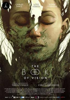 幻覺之書/The Book of Vision線上看