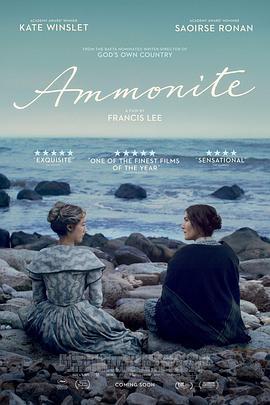 菊石/Ammonite線上看