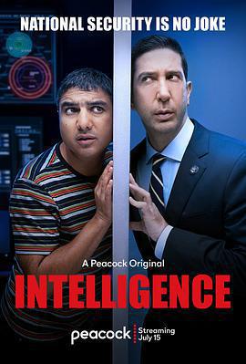 不靠譜情報局 第一季/Intelligence Season 1線上看