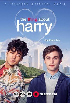 關於哈利的那些事/The Thing About Harry線上看