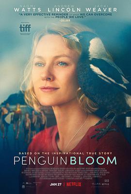 企鵝布魯姆/Penguin Bloom線上看