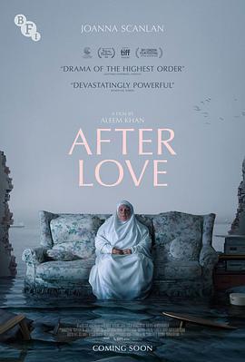 愛的後事/After Love線上看