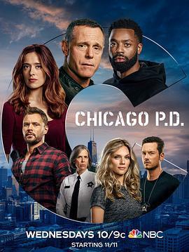 芝加哥警署 第八季/Chicago P.D. Season 8線上看