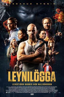 特警祕戀/Leynilögga線上看