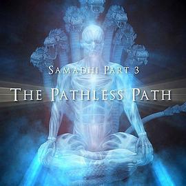 三摩地 第三部 無路之道/Samadi Part 3: The Pathless Path線上看