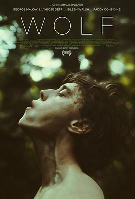 狼/Wolf線上看