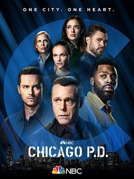 芝加哥警署 第九季/Chicago P.D. Season 9線上看