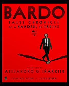 詩人/Bardo, falsa crónica de unas cuantas verdades線上看