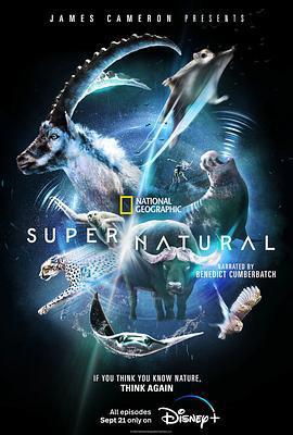 超凡動物奇觀/Super/Natural線上看