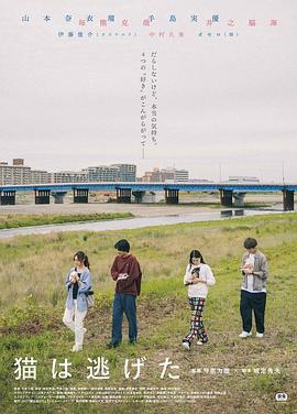 貓貓逃走了/貓は逃げた線上看