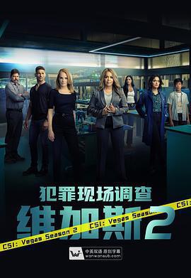 犯罪現場調查：維加斯 第二季/CSI: Vegas Season 2線上看